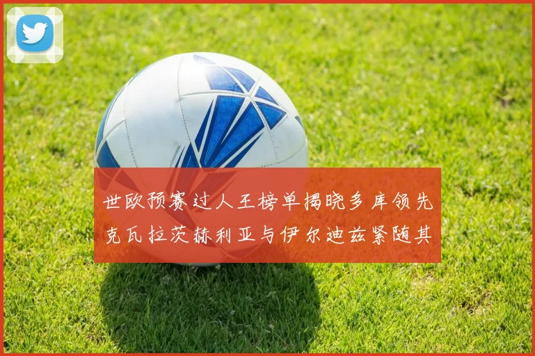 世欧预赛过人王榜单揭晓多库领先克瓦拉茨赫利亚与伊尔迪兹紧随其后