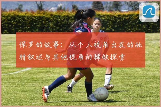 保罗的故事：从个人视角出发的独特叙述与其他视角的稀缺探索