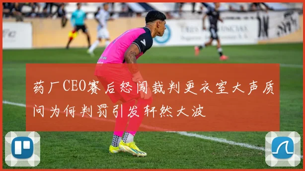 药厂CEO赛后怒闯裁判更衣室大声质问为何判罚引发轩然大波