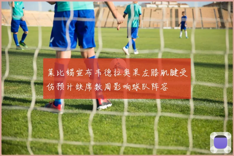 莱比锡宣布韦德拉奥果左膝肌腱受伤预计缺席数周影响球队阵容