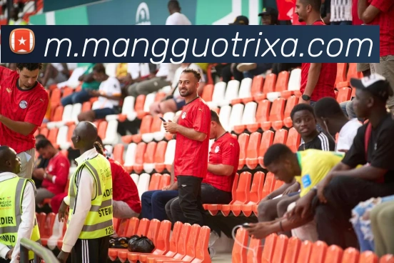 芒果体育服务体系